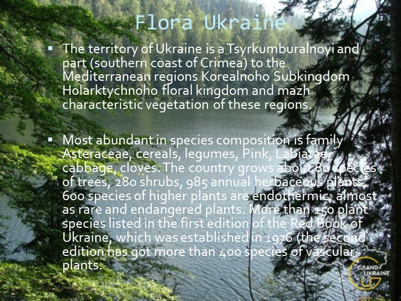 Flora Ukraine The territory of Ukraine is a Tsyrkumburalnoyi and part (southern coast of